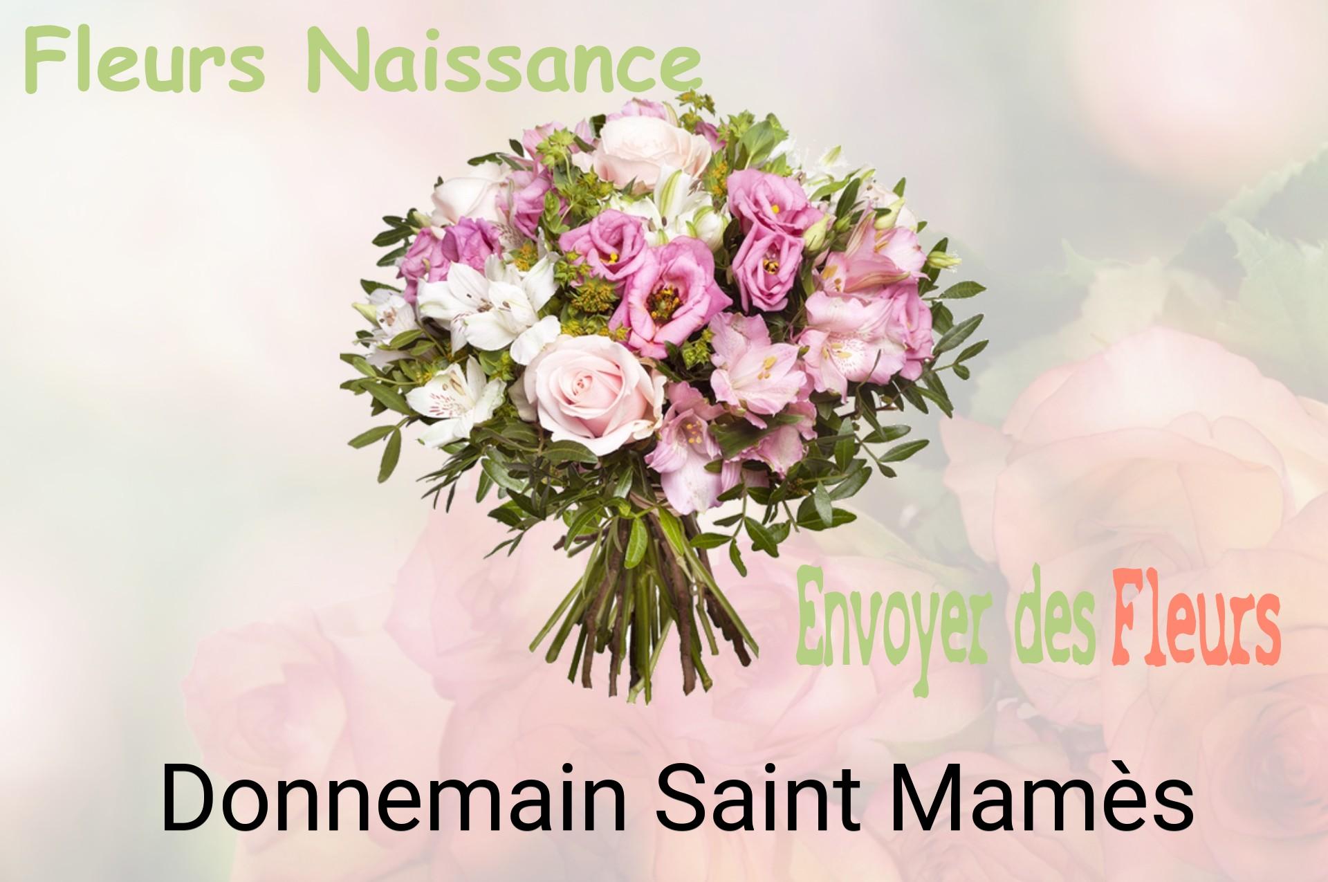 Bouquet de fleurs de naissance livré à Donnemain-Saint-Mamès
